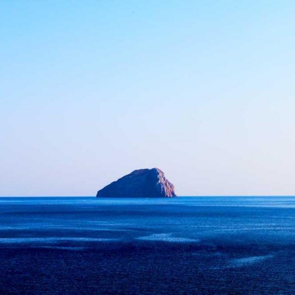 Meet your Posher, Susan - Picture 1 of 1